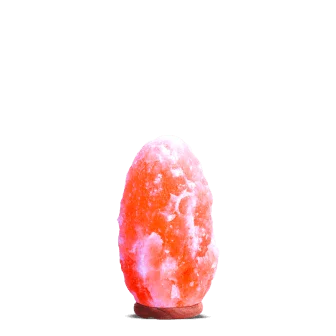 Natural Salt Lamp nsl-802