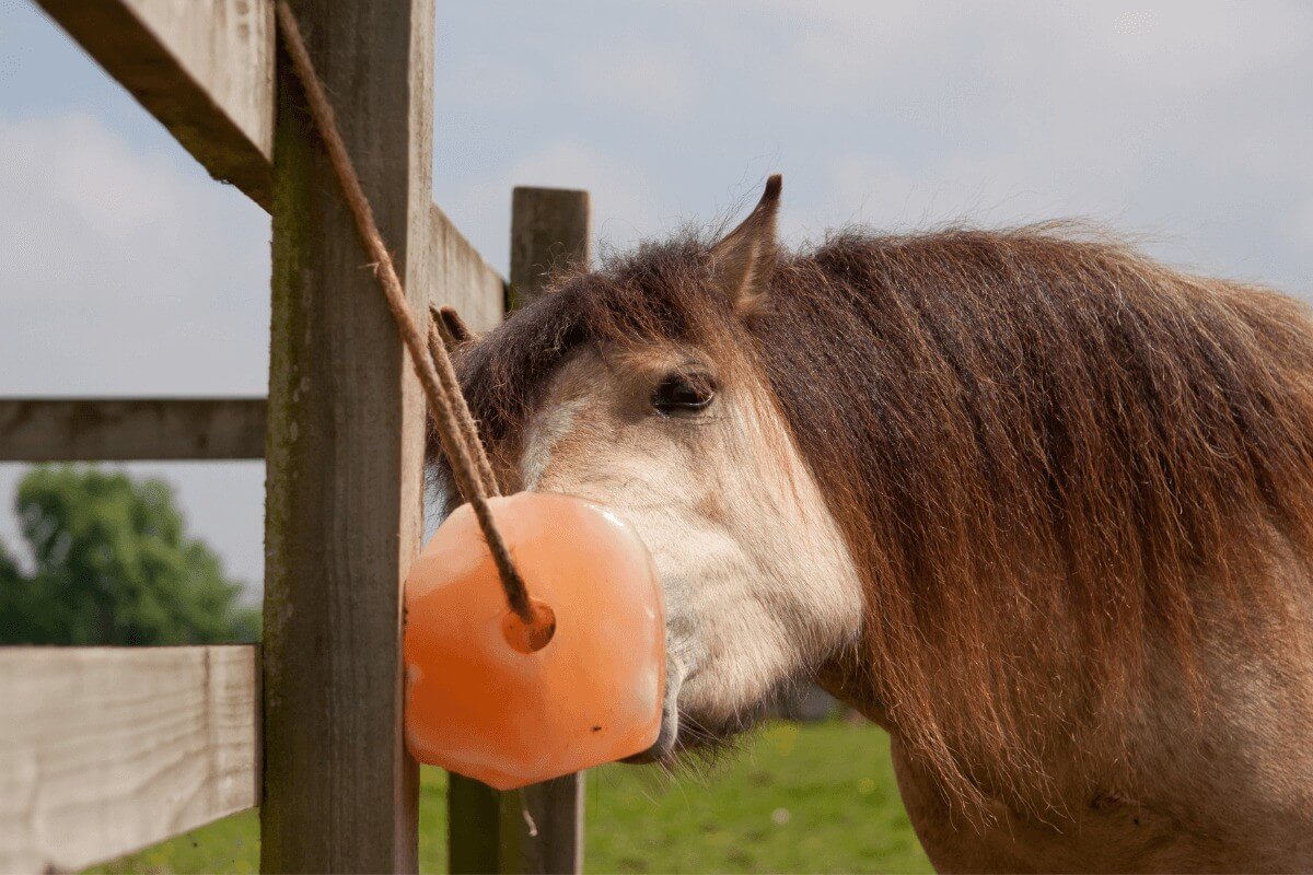 Animal Lick Salt for Horses, Deer & Cattle in Wholesale & Bulk Quantity​