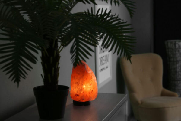 salt lamps night light